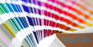 pantone3